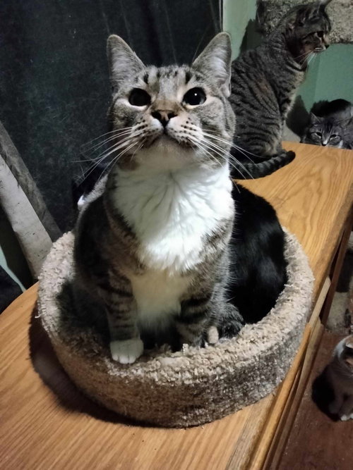 Photo of MIKITA