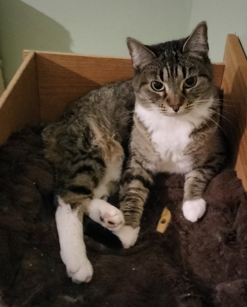 Photo of MIKITA