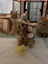 SERGEANT BECKER - Photo 4