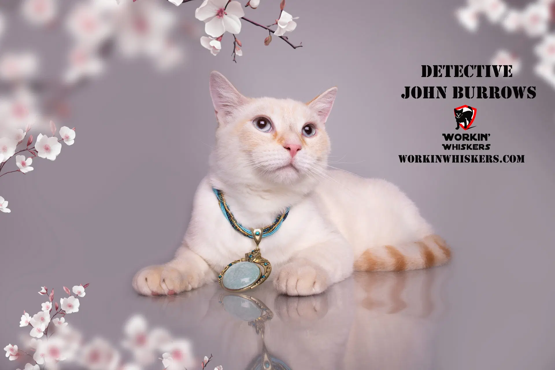 Detective John Burrows - Domestic Shorthair
