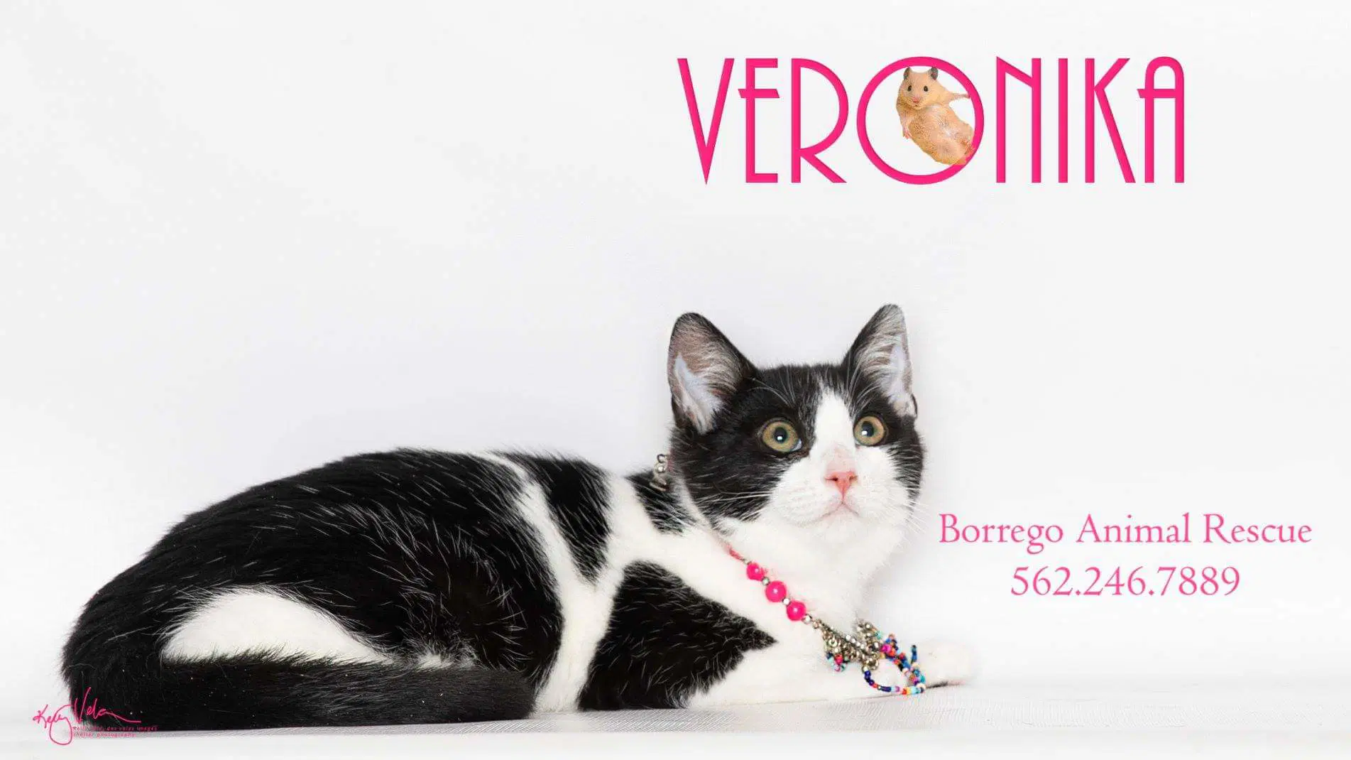Veronika image 4
