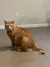 STEWART - Photo 3