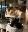 STEWART - Photo 4