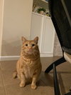 STEWART - Photo 7