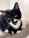 ZEPHYR - Photo 10