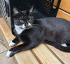 ZEPHYR - Photo 2
