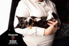 DESPONIA - Photo 8