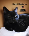 DARRYL HENDERSON - Photo 5