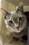STITCH - Photo 3
