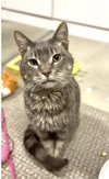 STITCH - Photo 5