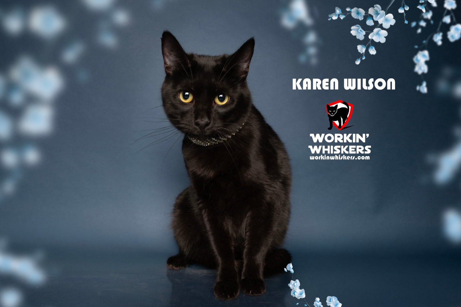 KAREN WILSON Image