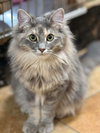 BELLE - Photo 6