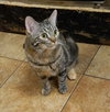 ELSA - Photo 3