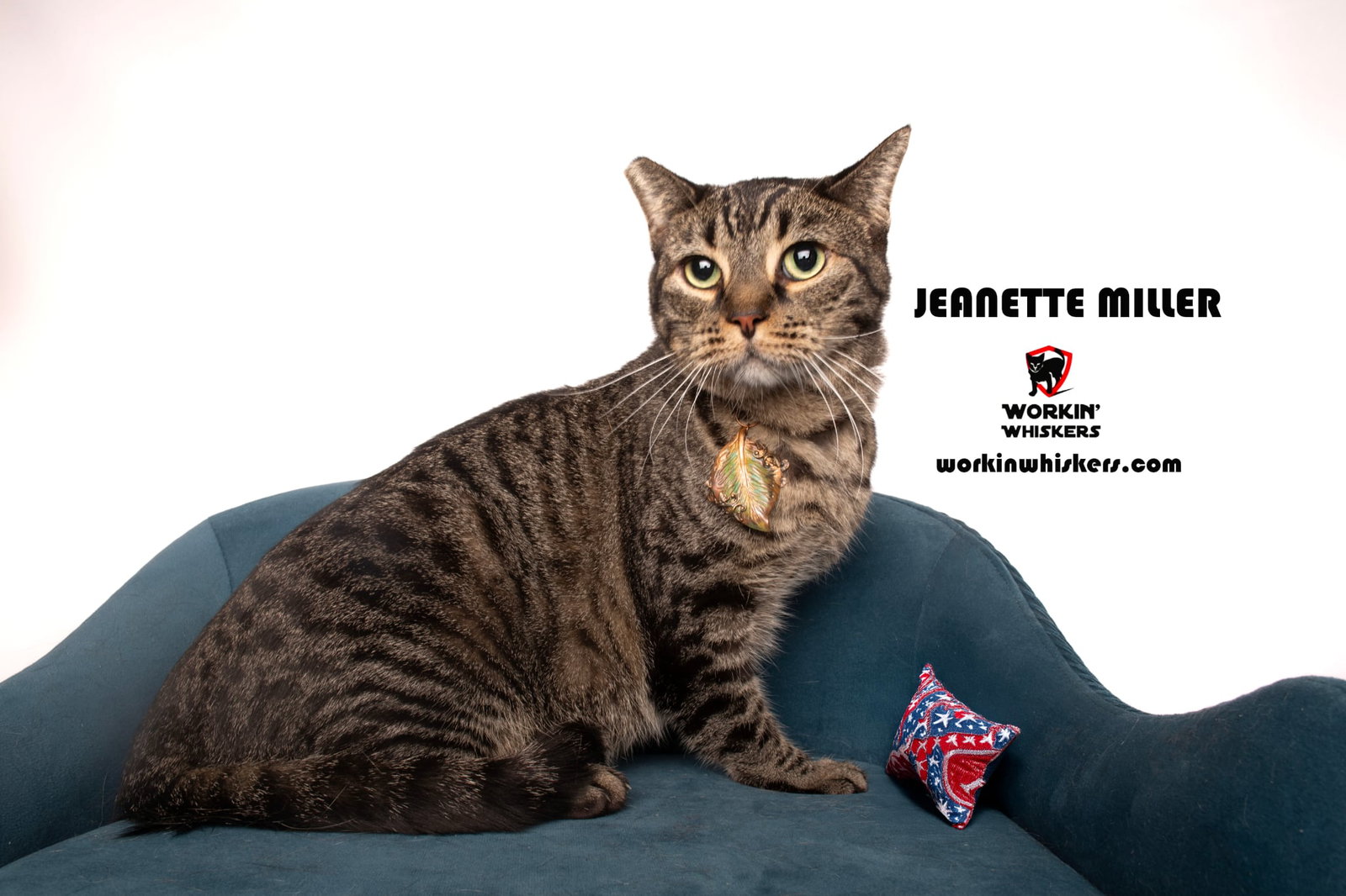 JANETTE MILLER Image