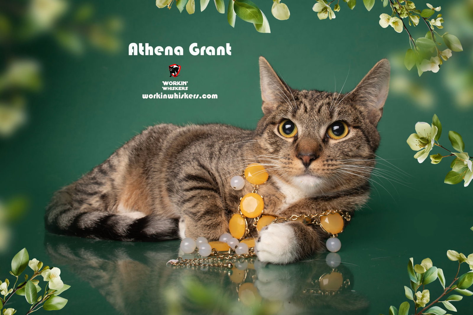 ATHENA GRANT Image
