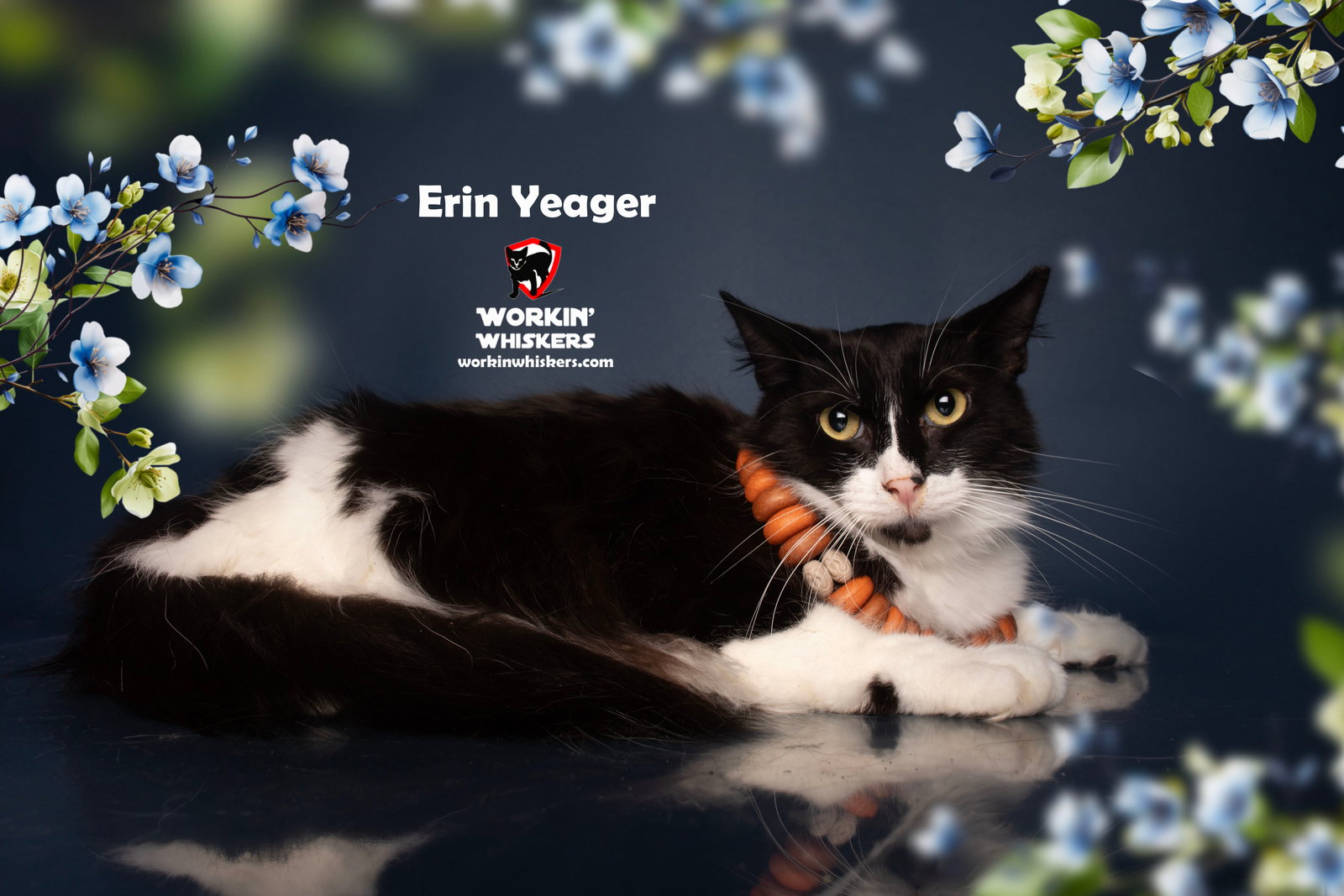 ERIN YEAGER Image