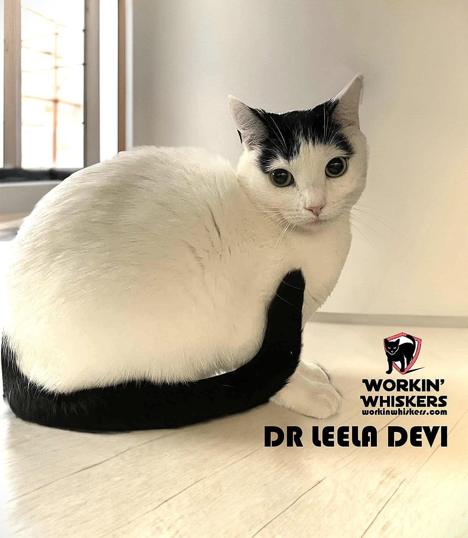 DR LEELA DEVI Image