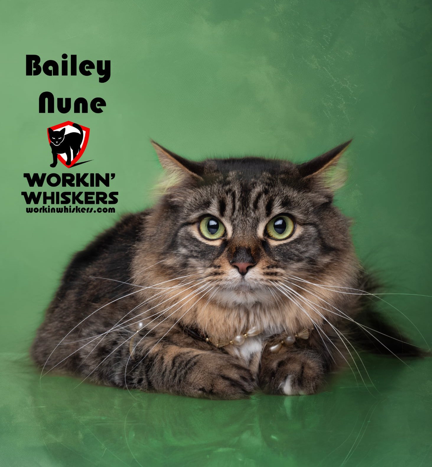 BAILEY NUNE Image
