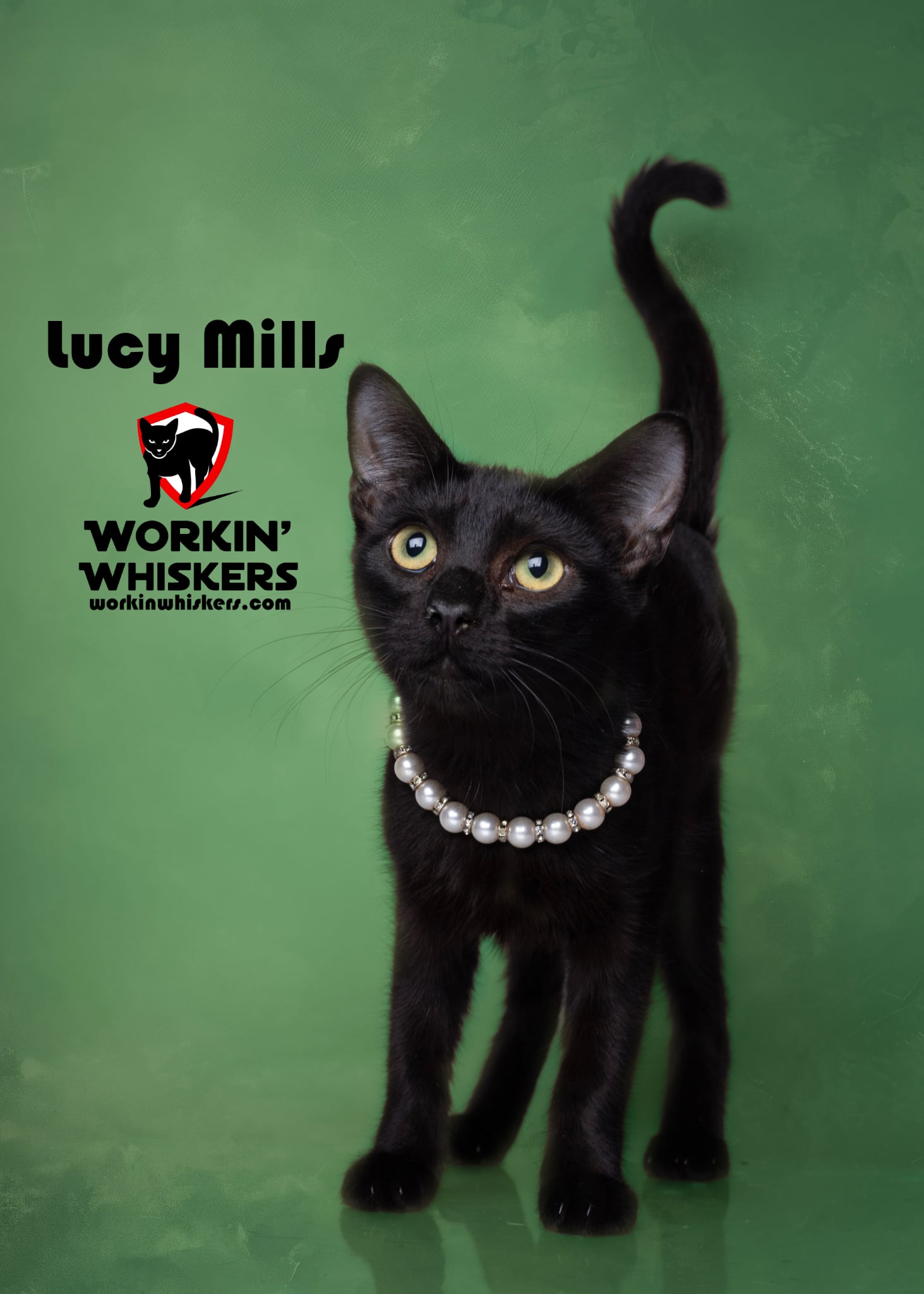 LUCY MILLS Image