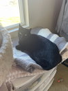 MYSTERY - Photo 2