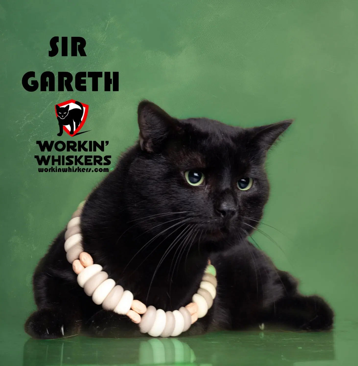 Sir Gareth - Bombay