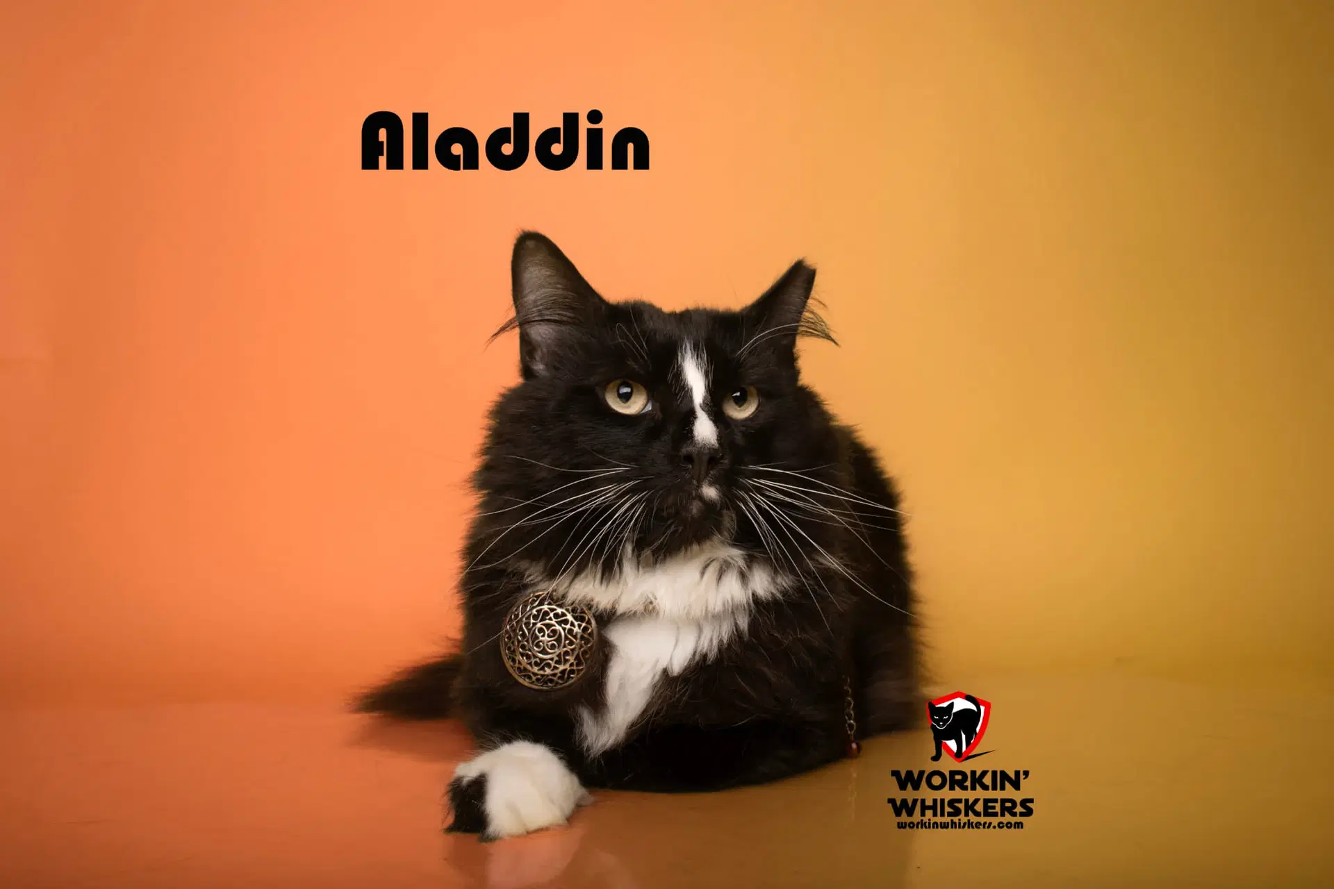 Aladdin image 3