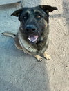 MAX - Photo 1