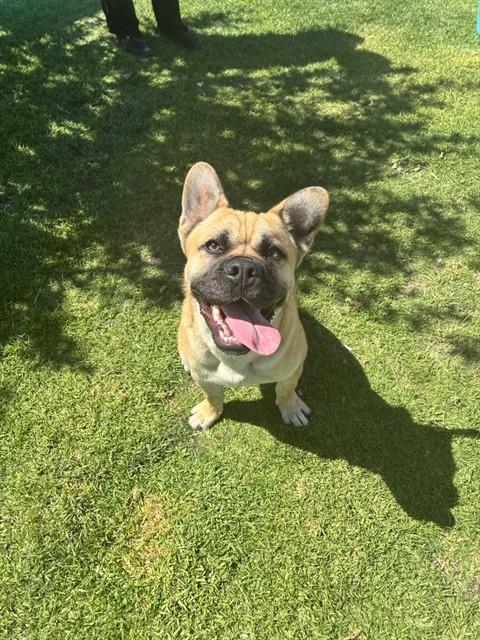 RICKY