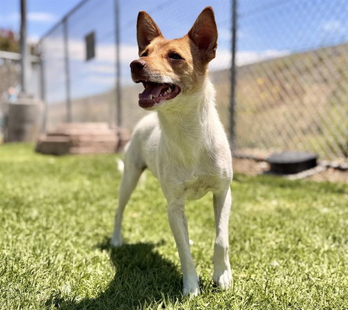 ETHEL