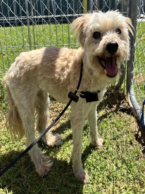 Milton