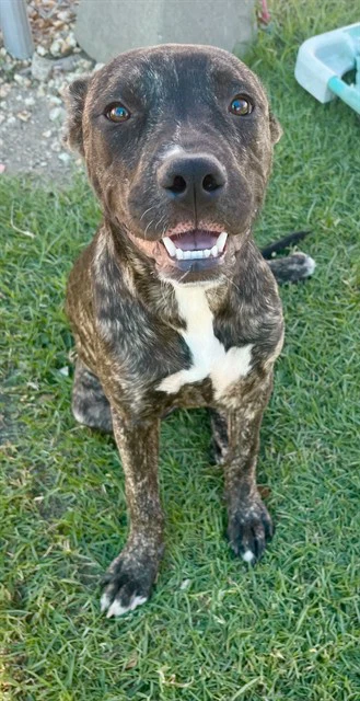 Drake