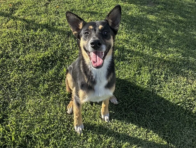 Ellie