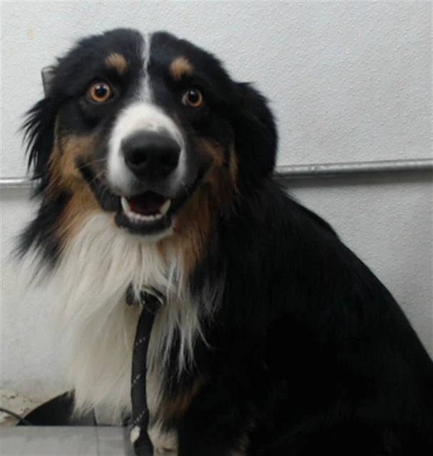 Hubert