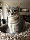 Kaylee