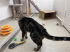 Opie RM - Photo 3