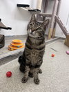 Opie RM - Photo 4