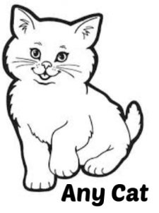 Any Cat