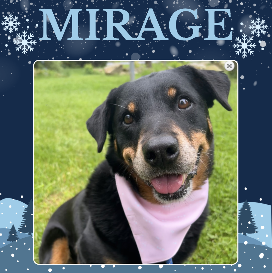 Mirage Bailey