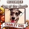 Charley (Claw Griffin)
