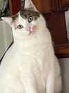 Chloe#