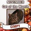 Gimpy