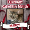 *Marcy