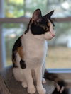 Mimi