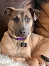 Sally (Prim Caddo)
