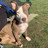 Kady Louisiana