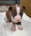 Kady's Kevin Louisiana