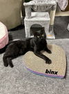 Binx