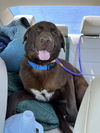 Wade Louisiana