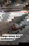 Owen Hill