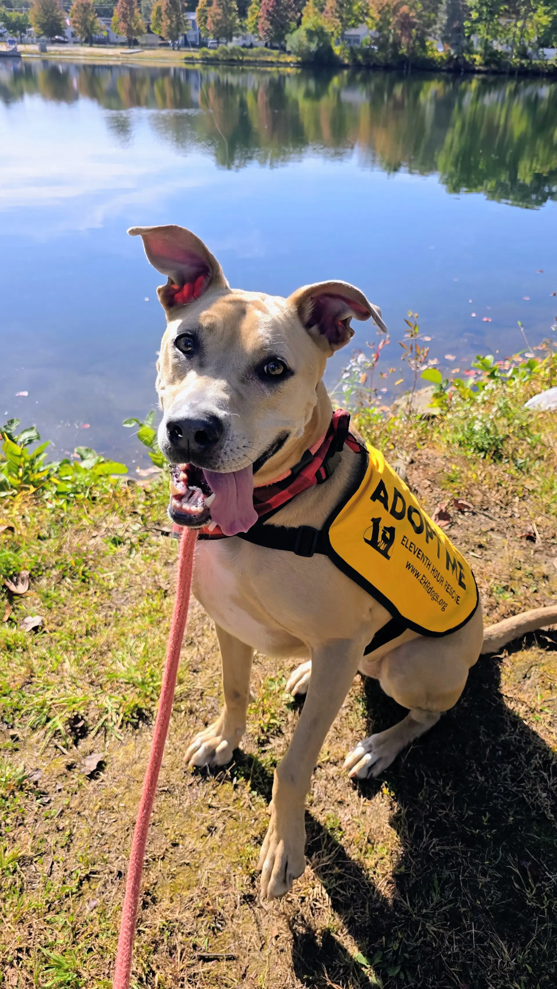 Kiya Lizman - Terrier